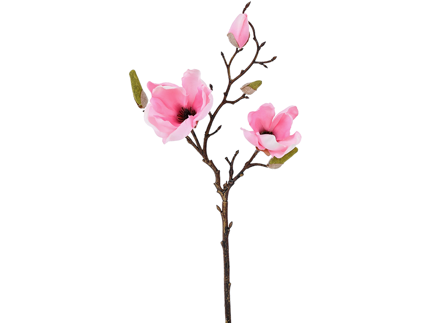 Magnolia. 51 cm