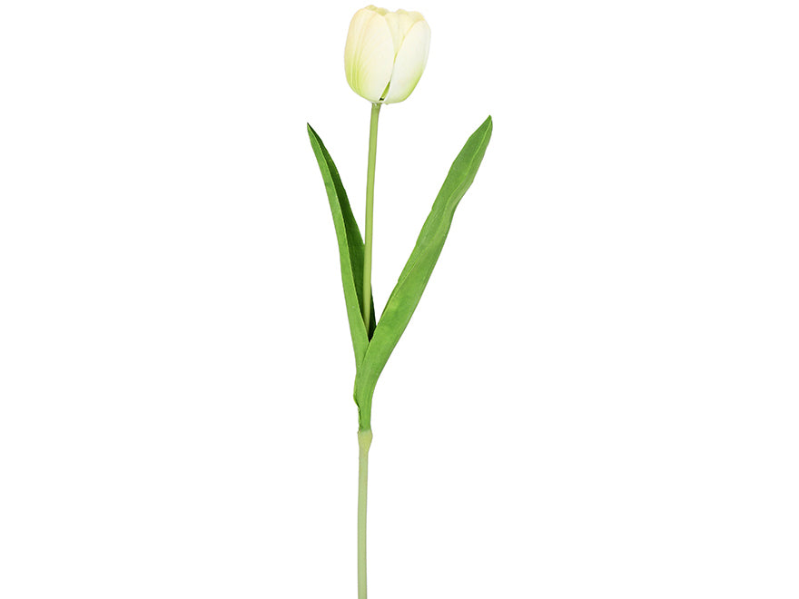 Tulip. 53 cm