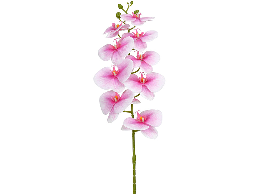 Orchid. 96 cm