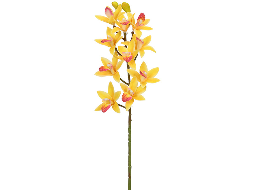 Orchids. 75 cm