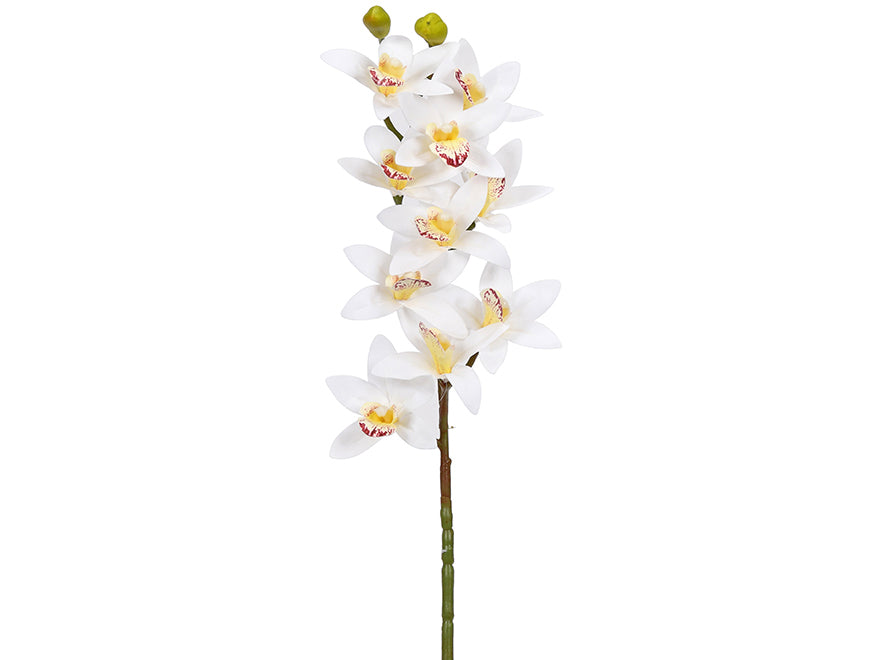 Orchids. 75 cm