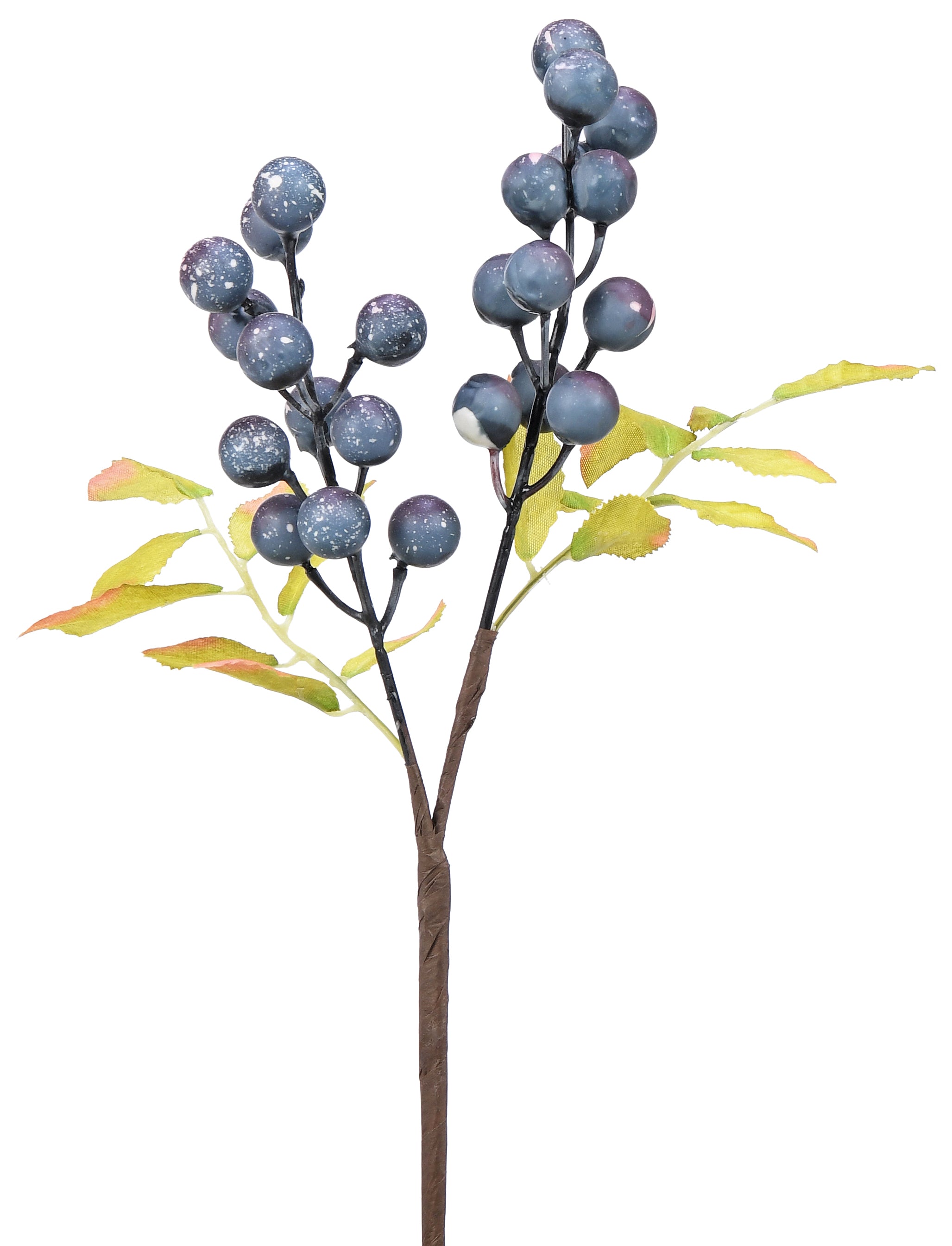 Berries. 31 cm